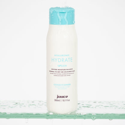 Hyaluronic Hydrate Conditioner